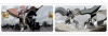 Hokuto no Ken Raoh Gaiden Ten no Raoh.png