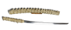 Kenmyōren.png