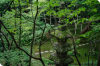 Jardin Forestal.png