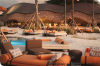 Bar OASIS.png