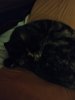 IMG20260323021352.jpg