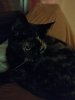 IMG20260323021449.jpg