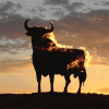 15e139ed29bc8b3c4803d603480e55b9.gif