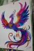 IMG_20260401_223027.jpg