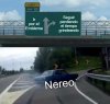 apei0g.jpg
