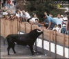 oasislabs-oasisnetwork.gif