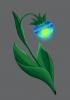 Lucetta.png