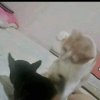 02ab82a166dc814a96c3dcdee4fb5d1f.jpg