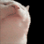 upload_2026-10-27_21-36-45.png