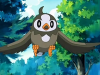 200px-Ash_Starly.png