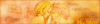 firmaf10.png