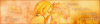 firmaf11.png