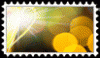 15.gif
