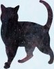 6728166-Silueta-de-gato-negro-Foto-de-archivo.jpg