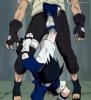chute-inicial-de-shi-shi-rendan.jpg
