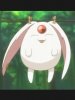 mokona.jpg