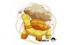 Torkoal (Tierra).jpg