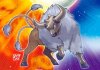 Tauros (Tierra-Acero).jpg