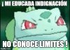 BULBASAUR.jpg