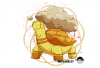 Torkoal.png