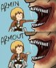 armin-armout.jpg