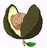 Avokido.jpg