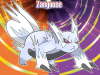 Zangoose.png
