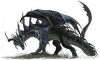 Auro Dragón.jpg