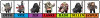 Captura.PNG1 - copia - copia.PNG