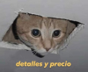 b33bc299ce08c5c98366549afcfdb86a.png