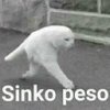 9dc47d3201bb5b10ecc33b6c248fb617645f7a85r1-480-480v2_128.jpg