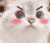 jum.png