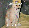 FB_IMG_1597528519129-1.jpg