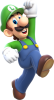 Luigi (1).png