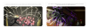 KSB.png