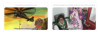 Double Decker.png