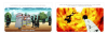 NN no Shouboutai.png