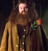 hagrid.jpg
