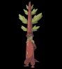 Sentitree.jpg