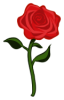Rosa1_zpsbba46a13.png