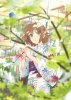 HD-wallpaper-cute-anime-girl-yukata-short-brown-hair-blurry-leaves-anime.jpg