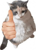 upload_2023-7-15_2-8-49.png
