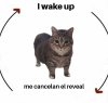 I Wake Up There Is X  Cat Circle Of Life 9814.jpg