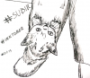 13 Subir.png
