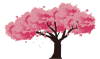 Sakura3.png