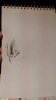 IMG-20240824-WA0000.jpeg