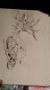 IMG-20240902-WA0000.jpeg