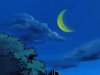 1noche.png