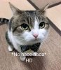 F5cAT1eWcAAG4ZJ.jpg