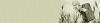 firma2.png